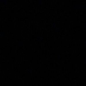 Meet your Posher, Rissa